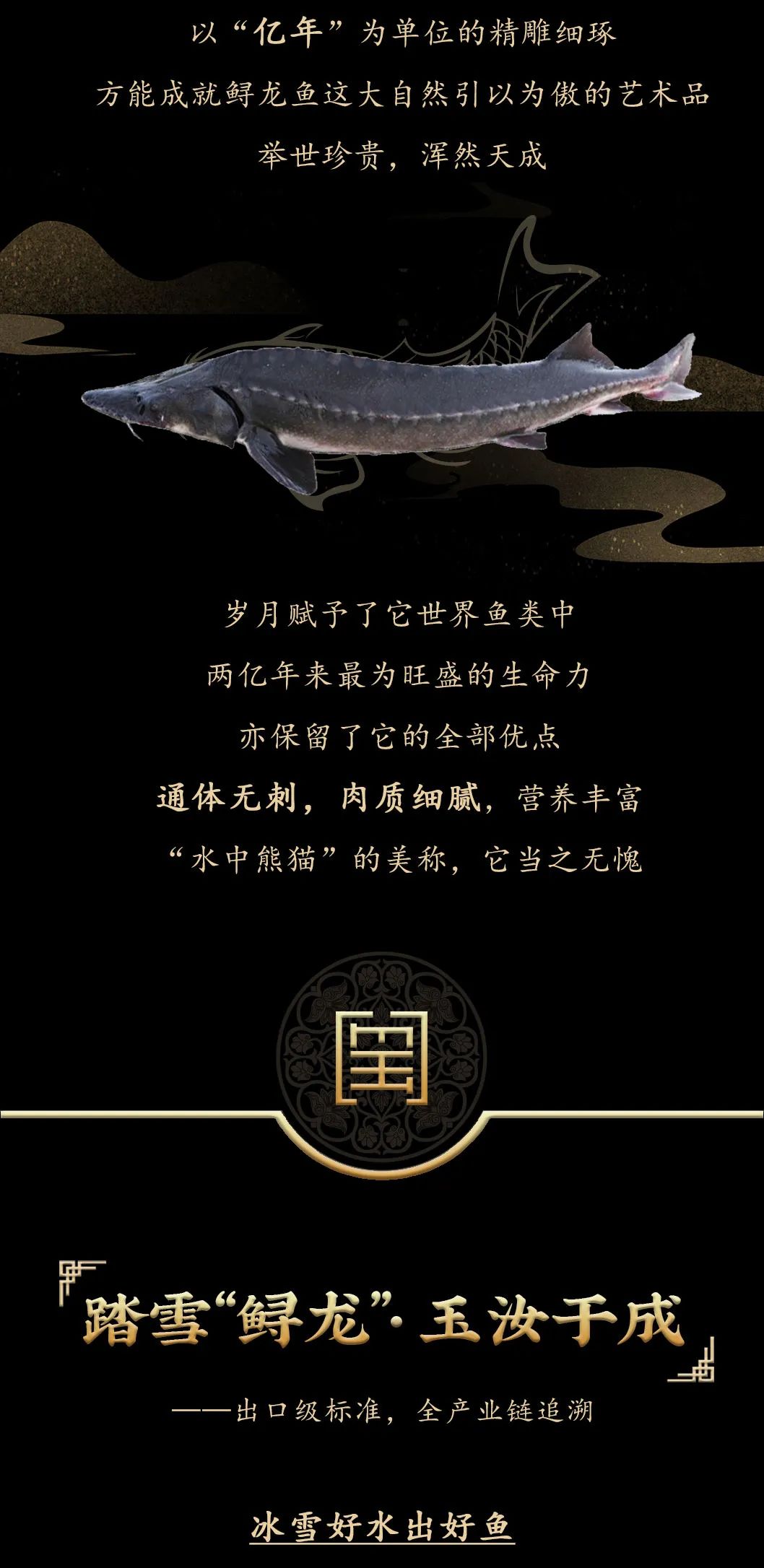 九州鱘龍魚(yú)片上新 | 自然臻藏，獻(xiàn)給吃魚(yú)有講究的人